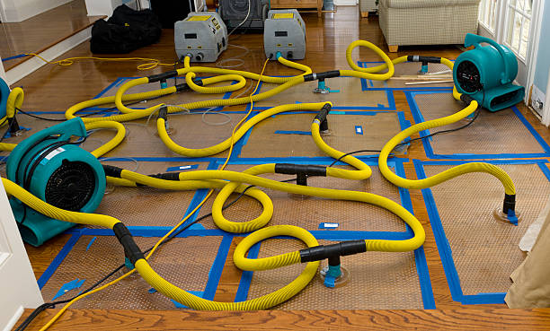 Professional Basement Flood Cleanup technician working in Fernwood, MS